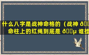 什么八字是战神命格的（战神 🐴 命柱上的红绳到底是 🌵 谁挂的）